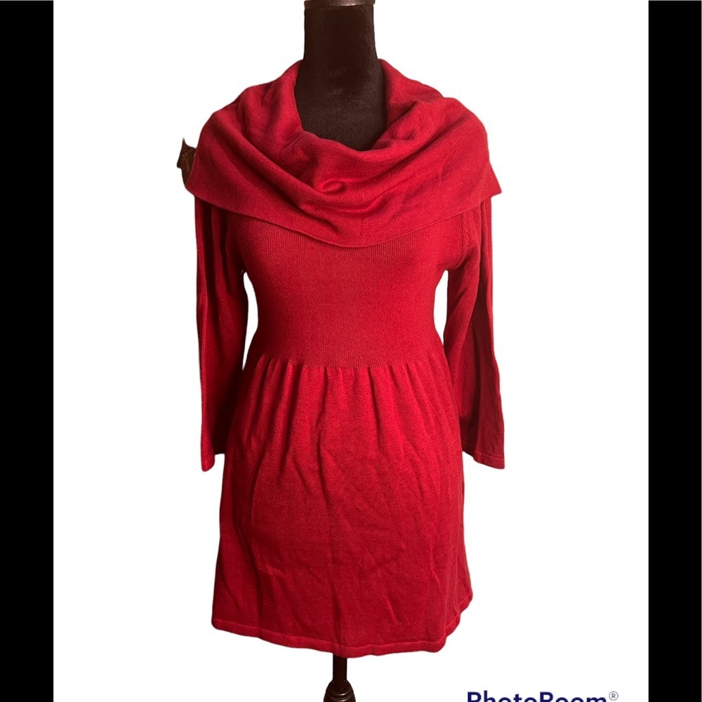NWT Sophie Max Ruby Sweater Dress top. Perfect with leggings Size L